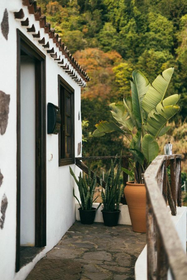 Las Casitas Del Bebedero - Yoga & Ecoturismo Icod De Los Vinos Exteriör bild