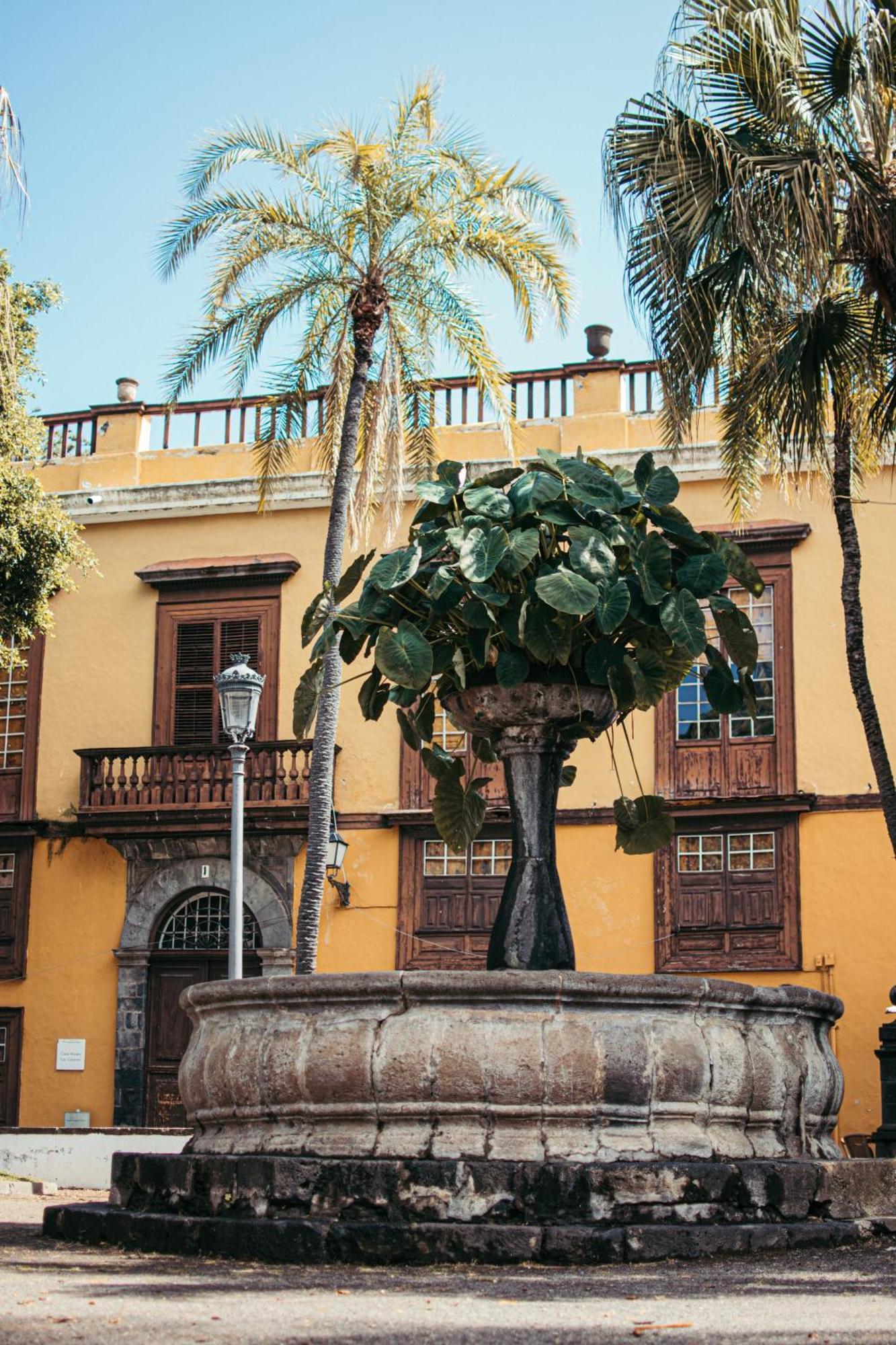 Las Casitas Del Bebedero - Yoga & Ecoturismo Icod De Los Vinos Exteriör bild