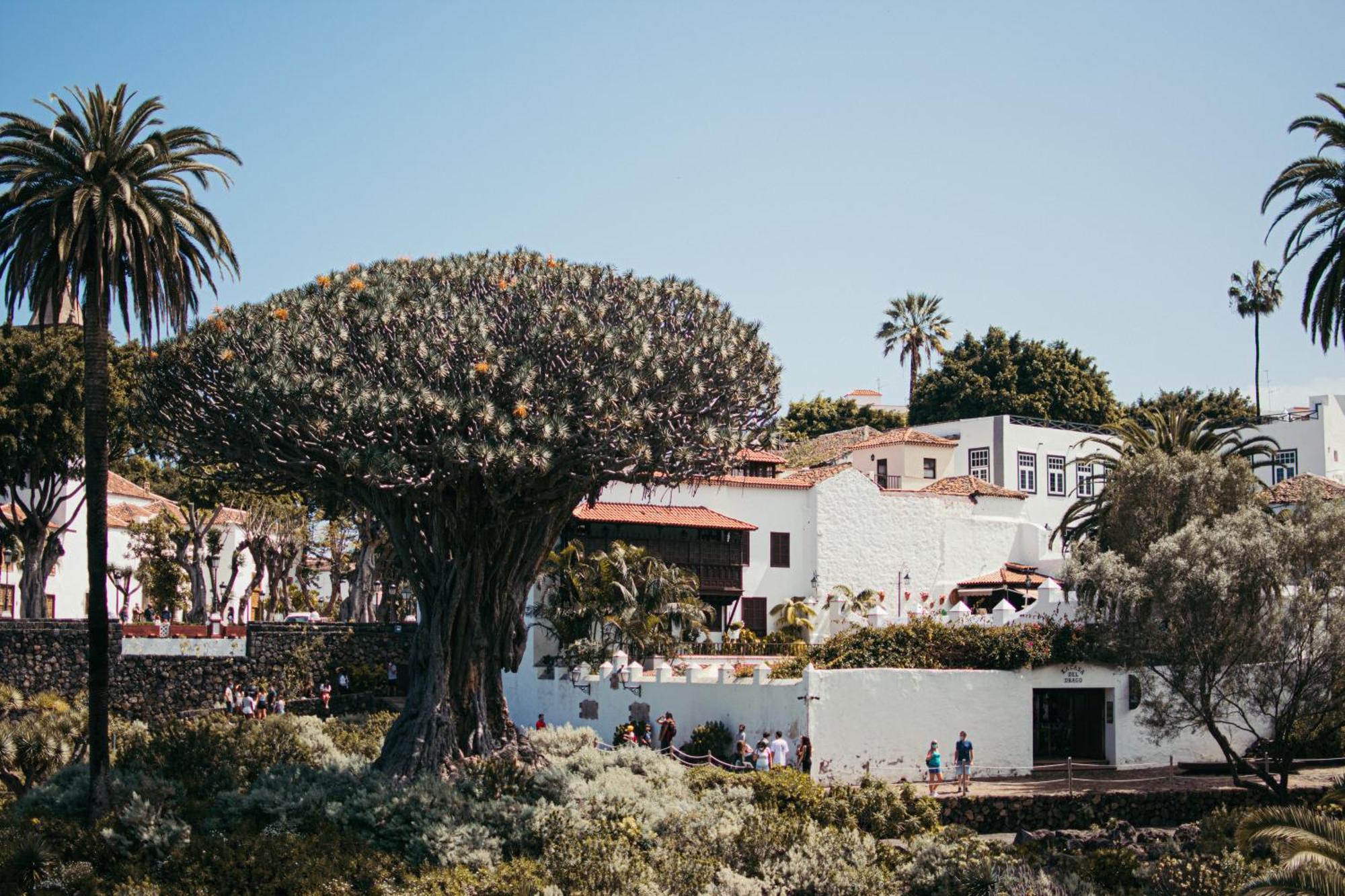 Las Casitas Del Bebedero - Yoga & Ecoturismo Icod De Los Vinos Exteriör bild
